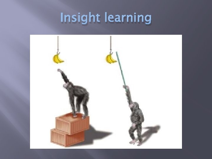 Insight learning 