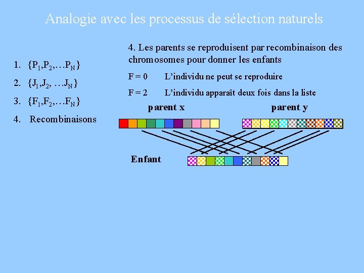 Analogie avec les processus de sélection naturels 1. {P 1, P 2, …PN} 2.