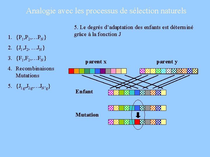 Analogie avec les processus de sélection naturels 1. {P 1, P 2, …PN} 5.