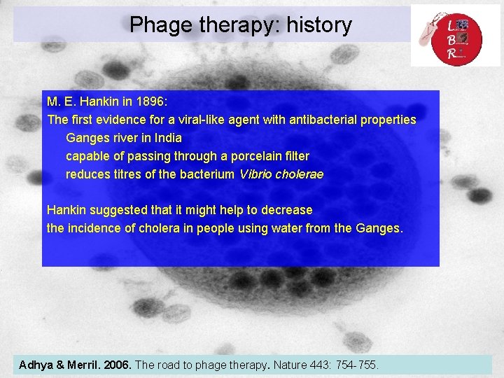 Phage therapy: history M. E. Hankin in 1896: The first evidence for a viral-like