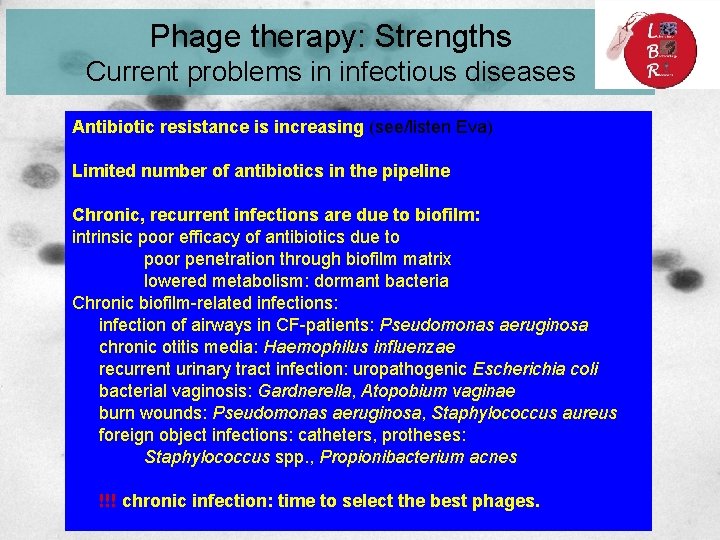 Phage therapy: Strengths Current problems in infectious diseases Antibiotic resistance is increasing (see/listen Eva)