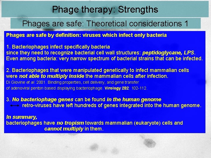 Phage therapy: Strengths Phages are safe: Theoretical considerations 1 Phages are safe by definition: