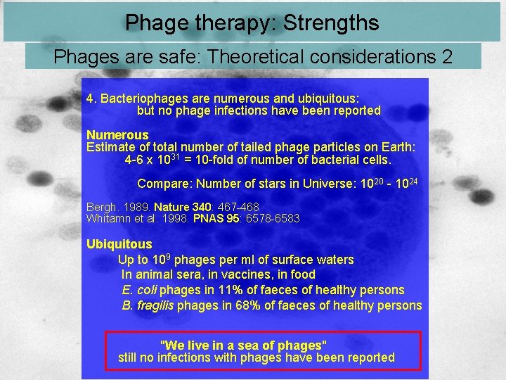 Phage therapy: Strengths Phages are safe: Theoretical considerations 2 4. Bacteriophages are numerous and