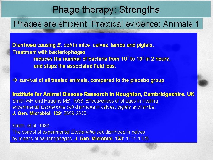 Phage therapy: Strengths Phages are efficient: Practical evidence: Animals 1 Diarrhoea causing E. coli