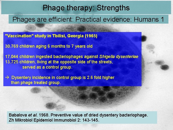 Phage therapy: Strengths Phages are efficient: Practical evidence: Humans 1 "Vaccination" study in Tbilisi,