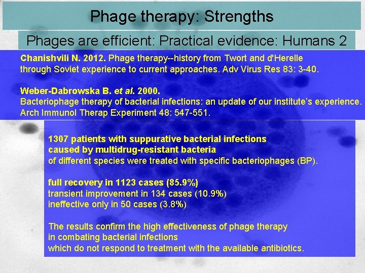 Phage therapy: Strengths Phages are efficient: Practical evidence: Humans 2 Chanishvili N. 2012. Phage