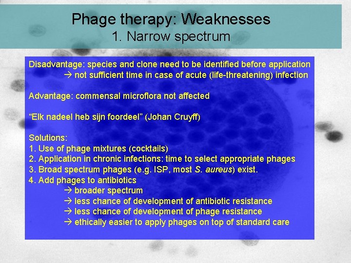 Phage therapy: Weaknesses 1. Narrow spectrum Disadvantage: species and clone need to be identified