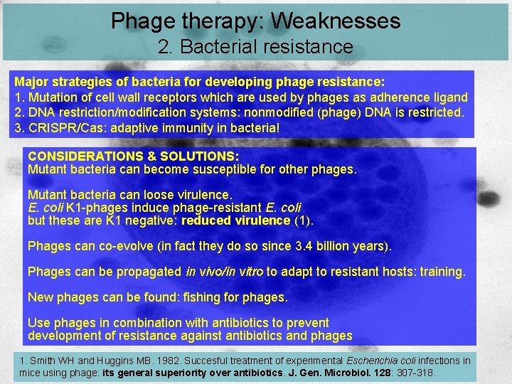 Phage therapy: Weaknesses 2. Bacterial resistance Major strategies of bacteria for developing phage resistance: