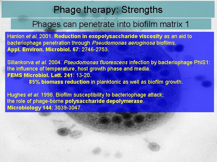 Phage therapy: Strengths Phages can penetrate into biofilm matrix 1 Hanlon et al. 2001.