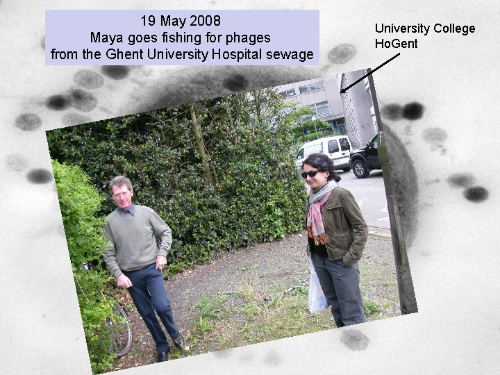 19 May 2008 Maya goes fishing for phages from the Ghent University Hospital sewage