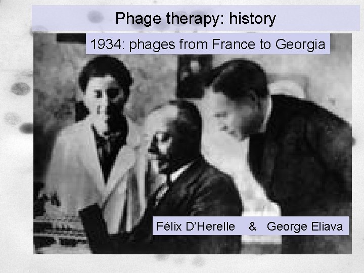 Phage therapy: history 1934: phages from France to Georgia Félix D’Herelle & George Eliava