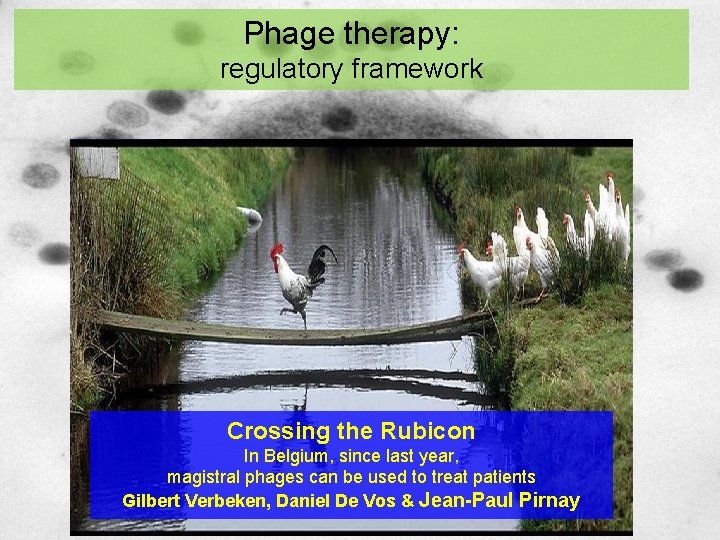 Phage therapy: regulatory framework Crossing the Rubicon In Belgium, since last year, magistral phages