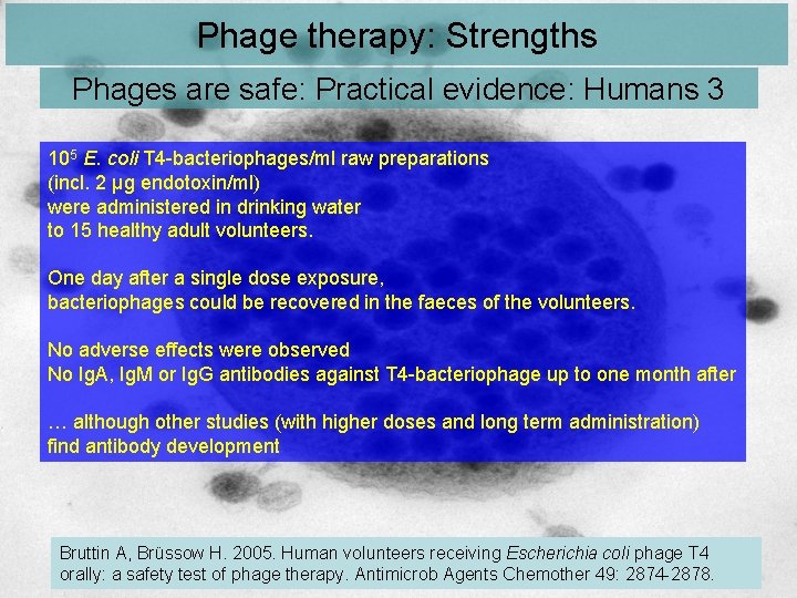 Phage therapy: Strengths Phages are safe: Practical evidence: Humans 3 105 E. coli T