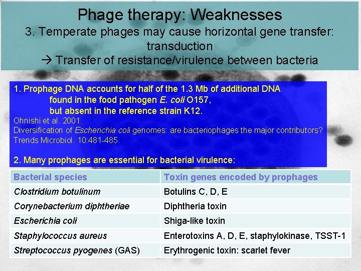 Phage therapy: Weaknesses 3. Temperate phages may cause horizontal gene transfer: transduction Transfer of