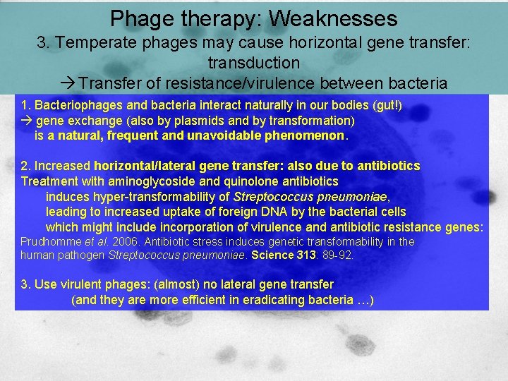 Phage therapy: Weaknesses 3. Temperate phages may cause horizontal gene transfer: transduction Transfer of