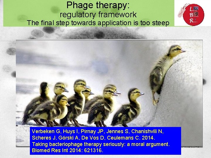 Phage therapy: regulatory framework The final step towards application is too steep Verbeken G,