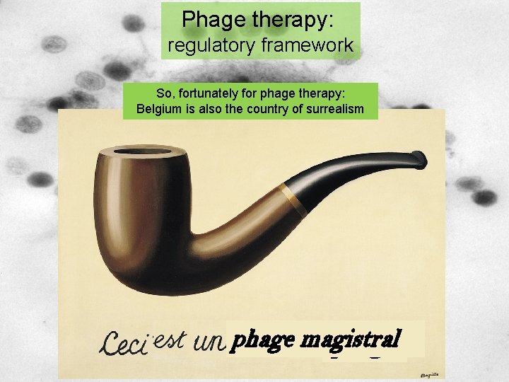 Phage therapy: regulatory framework So, fortunately for phage therapy: Belgium is also the country