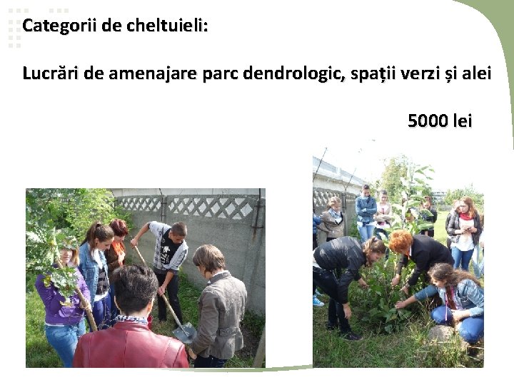 Categorii de cheltuieli: Lucrări de amenajare parc dendrologic, spații verzi și alei 5000 lei Categorii de cheltuieli: Lucrări de amenajare parc dendrologic, spații verzi și alei 5000 lei