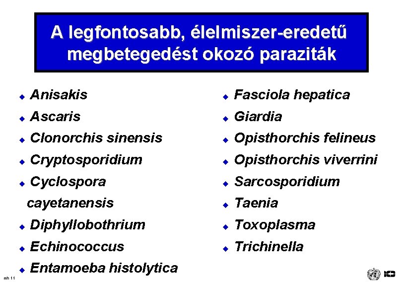 A legfontosabb, élelmiszer-eredetű megbetegedést okozó paraziták mh 11 u Anisakis u Fasciola hepatica u
