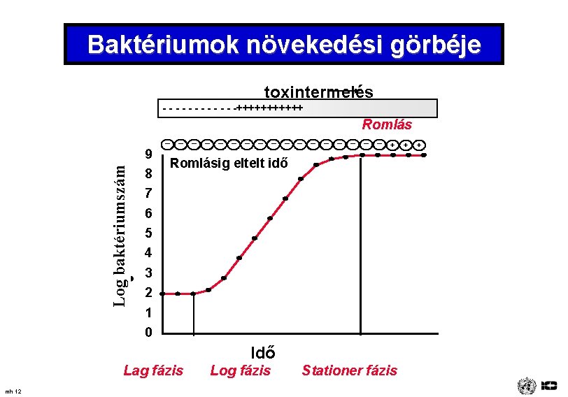 Baktériumok növekedési görbéje toxintermelés - - -++++++ Romlás Log baktériumszám _ 9 8 7