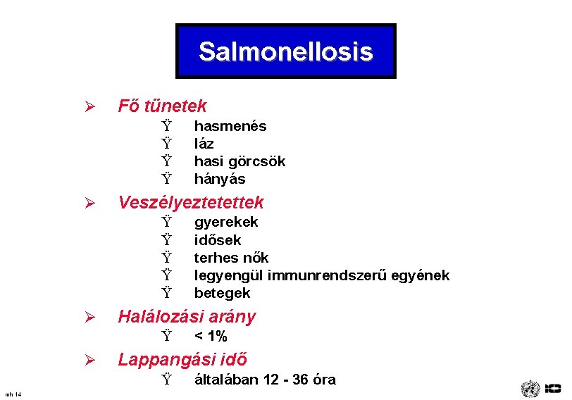 Salmonellosis Ø Fő tünetek Ÿ Ÿ Ø Veszélyeztetettek Ÿ Ÿ Ÿ Ø < 1%