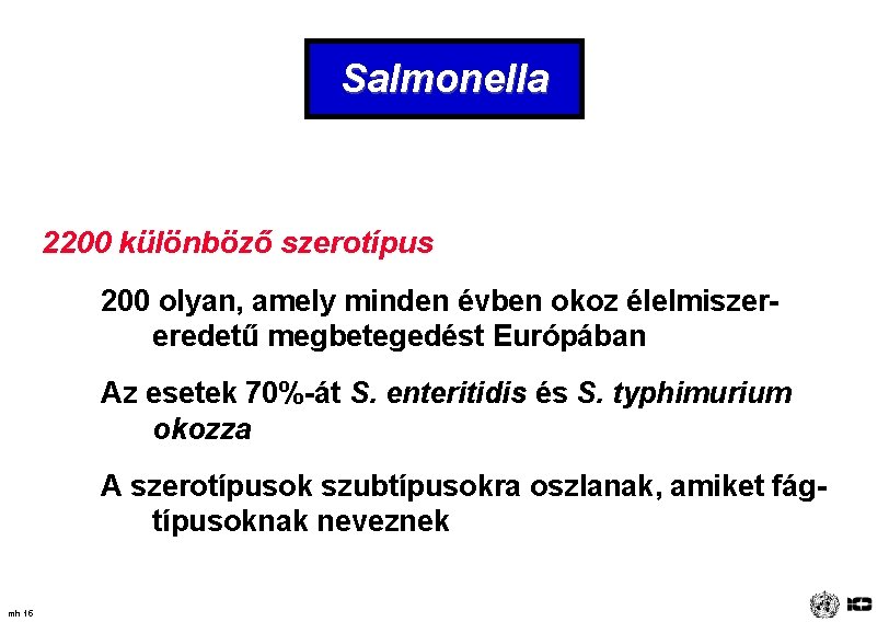 Salmonella 2200 különböző szerotípus 200 olyan, amely minden évben okoz élelmiszereredetű megbetegedést Európában Az