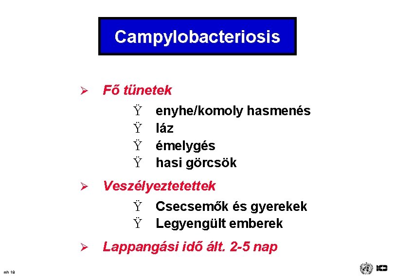 Campylobacteriosis mh 18 Ø Fő tünetek Ÿ enyhe/komoly hasmenés Ÿ láz Ÿ émelygés Ÿ