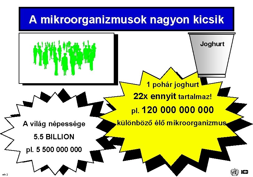 A mikroorganizmusok nagyon kicsik Joghurt 1 pohár joghurt 22 x ennyit tartalmaz! pl. 120