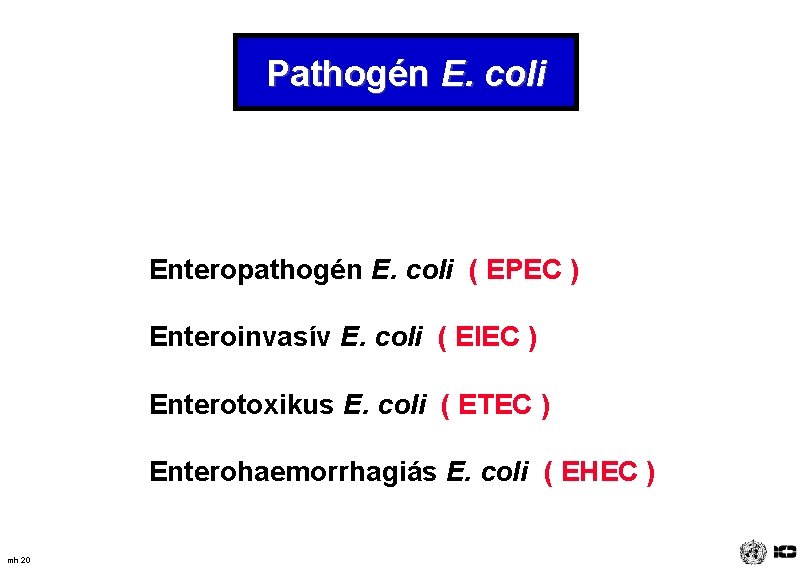Pathogén E. coli Enteropathogén E. coli ( EPEC ) Enteroinvasív E. coli ( EIEC