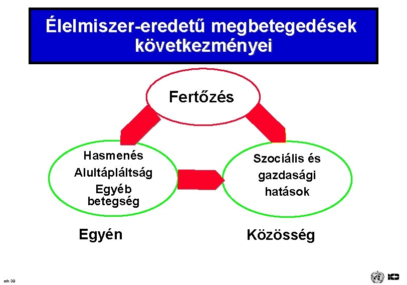 Élelmiszer-eredetű megbetegedések következményei Fertőzés Hasmenés Alultápláltság Egyéb betegség Egyén mh 39 Szociális és gazdasági