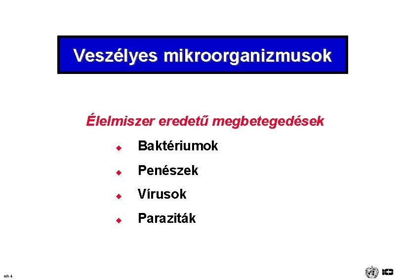 Veszélyes mikroorganizmusok Élelmiszer eredetű megbetegedések mh 4 u Baktériumok u Penészek u Vírusok u