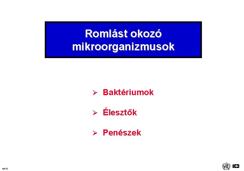 Romlást okozó mikroorganizmusok Ø Baktériumok Ø Élesztők Ø Penészek mh 6 