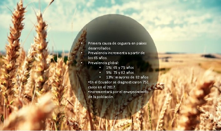  • • • 18/10/18 Primera causa de ceguera en países desarrollados. Prevalencia incrementa