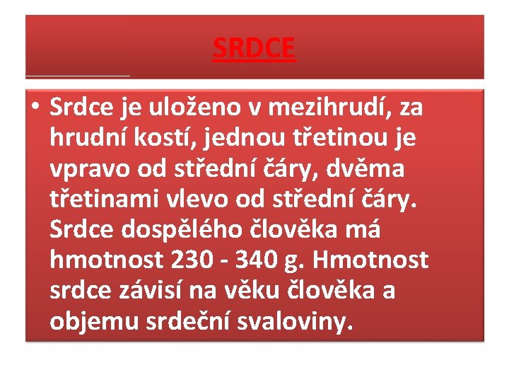 SRDCE • Srdce je uloženo v mezihrudí, za hrudní kostí, jednou třetinou je vpravo