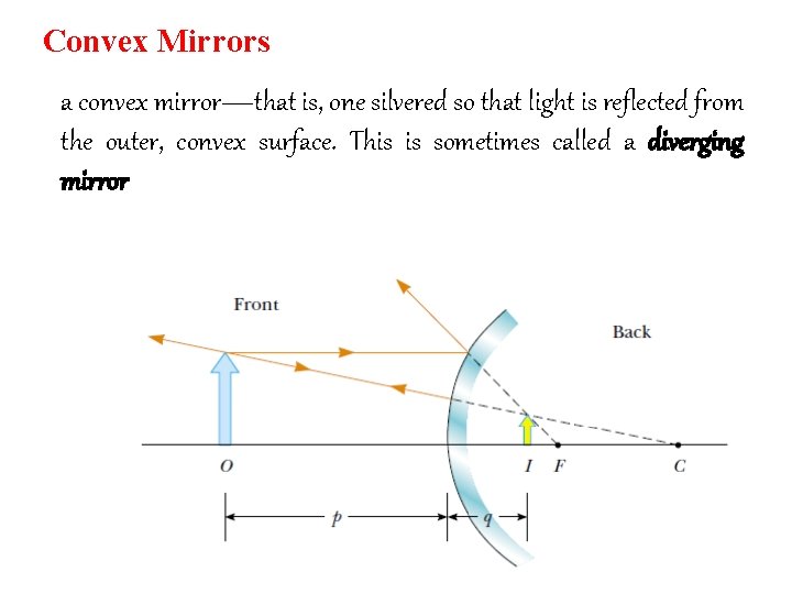 Convex Mirrors a convex mirror—that is, one silvered so that light is reflected from