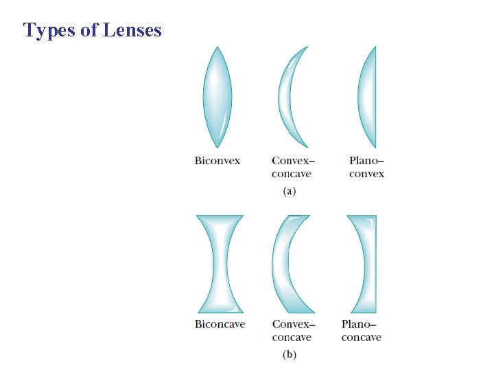 Types of Lenses 