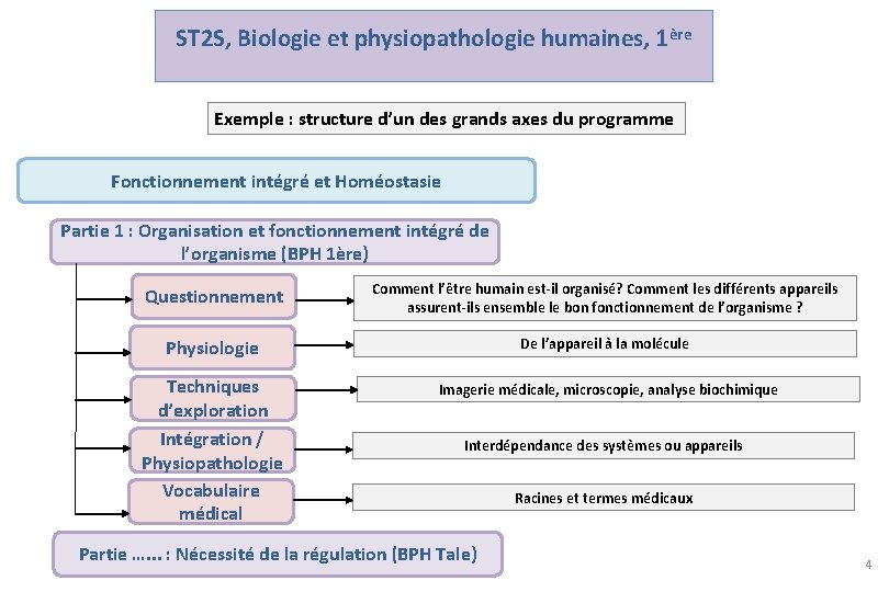 ST 2 S, Biologie et physiopathologie humaines, 1ère Exemple : structure d’un des grands