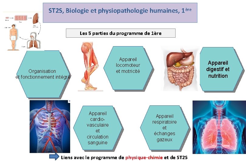 ST 2 S, Biologie et physiopathologie humaines, 1ère Les 5 parties du programme de