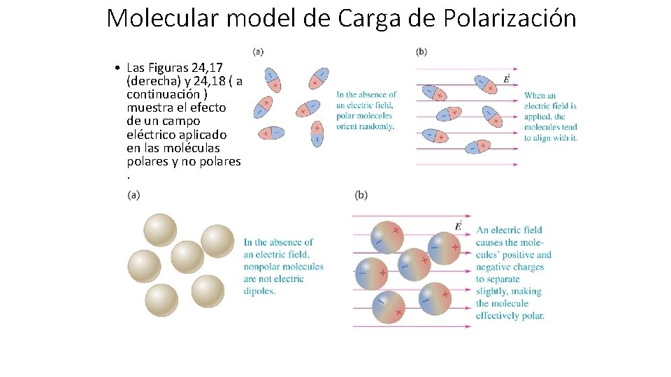 Molecular model de Carga de Polarización • Las Figuras 24, 17 (derecha) y 24,