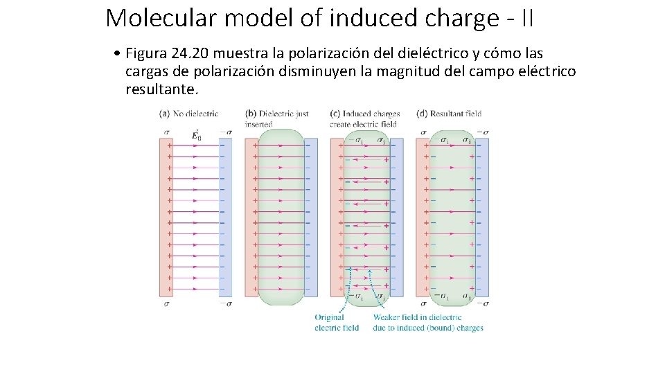 Molecular model of induced charge - II • Figura 24. 20 muestra la polarización