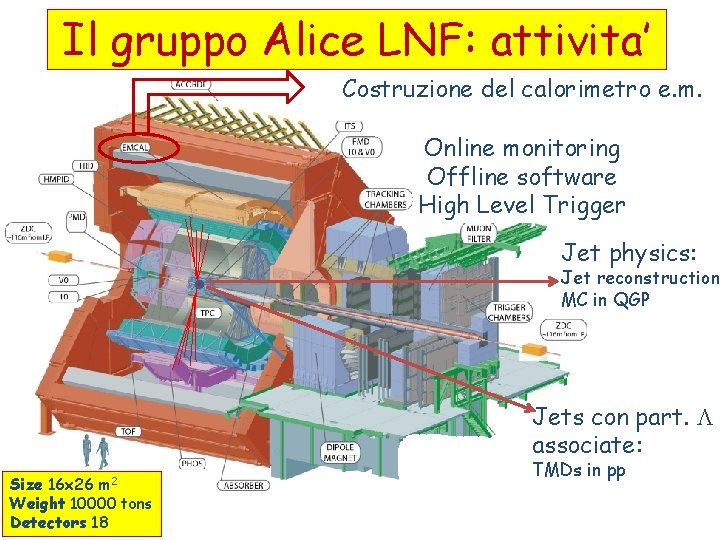 Il gruppo Alice LNF: attivita’ Costruzione del calorimetro e. m. Online monitoring Offline software