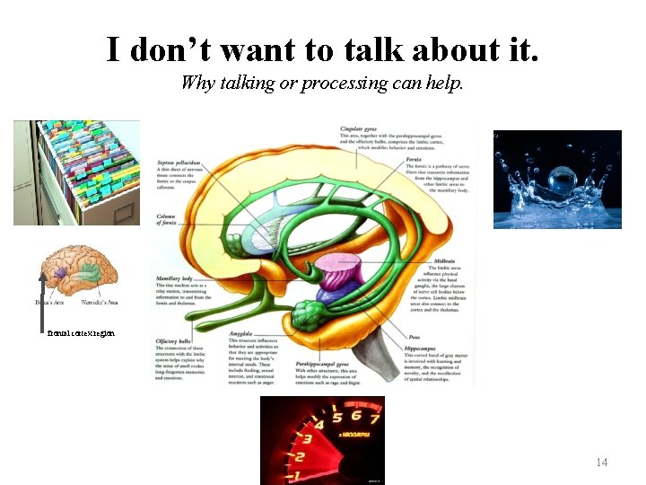 I don’t want to talk about it. Why talking or processing can help. frontal