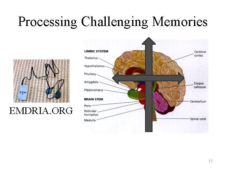 Processing Challenging Memories EMDRIA. ORG 15 