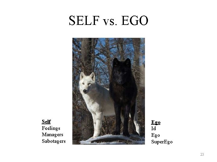 SELF vs. EGO Self Feelings Managers Sabotagers Ego Id Ego Super. Ego 23 
