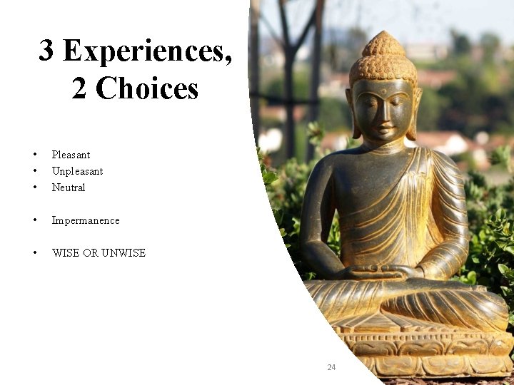 3 Experiences, 2 Choices • • • Pleasant Unpleasant Neutral • Impermanence • WISE