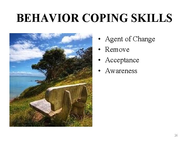 BEHAVIOR COPING SKILLS • • Agent of Change Remove Acceptance Awareness 26 