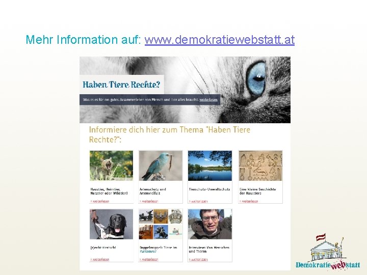 Mehr Information auf: www. demokratiewebstatt. at 