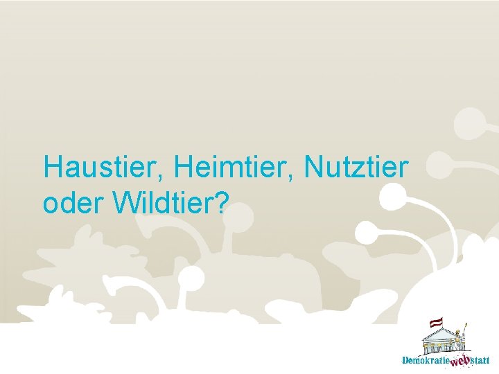 Haustier, Heimtier, Nutztier oder Wildtier? 