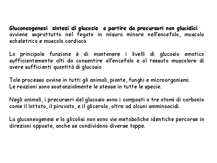 Gluconeogenesi sintesi di glucosio a partire da precursori non glucidici avviene soprattutto nel fegato