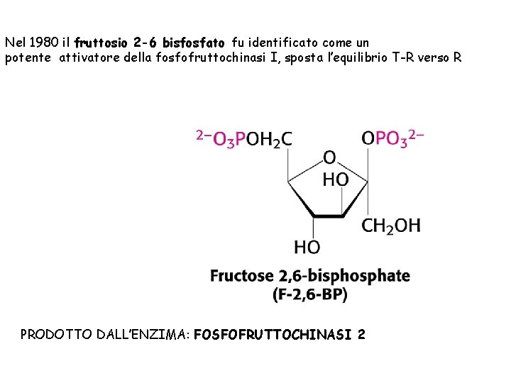 Nel 1980 il fruttosio 2 -6 bisfosfato fu identificato come un potente attivatore della